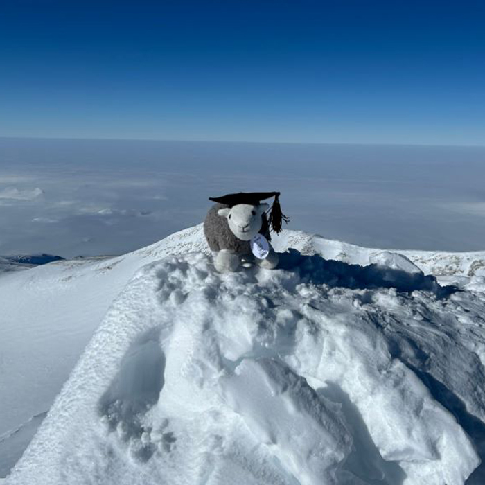 Best-of-blog-2025_0035_Layer 1